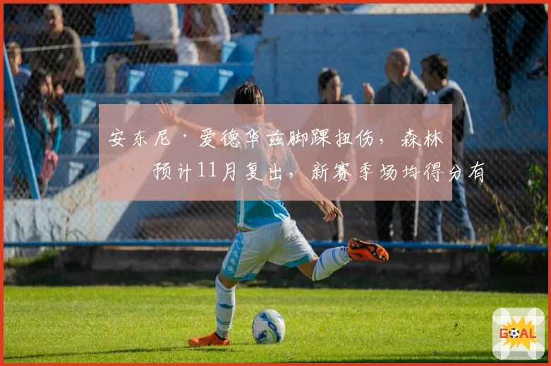 安东尼·爱德华兹脚踝扭伤，森林狼预计11月复出，新赛季场均得分有望突破28分