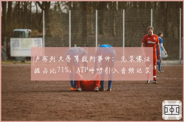 卢布列夫辱骂裁判事件：无录像证据占比71%，ATP呼吁引入音频记录