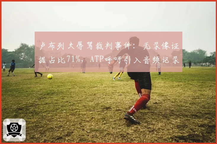 卢布列夫辱骂裁判事件：无录像证据占比71%，ATP呼吁引入音频记录
