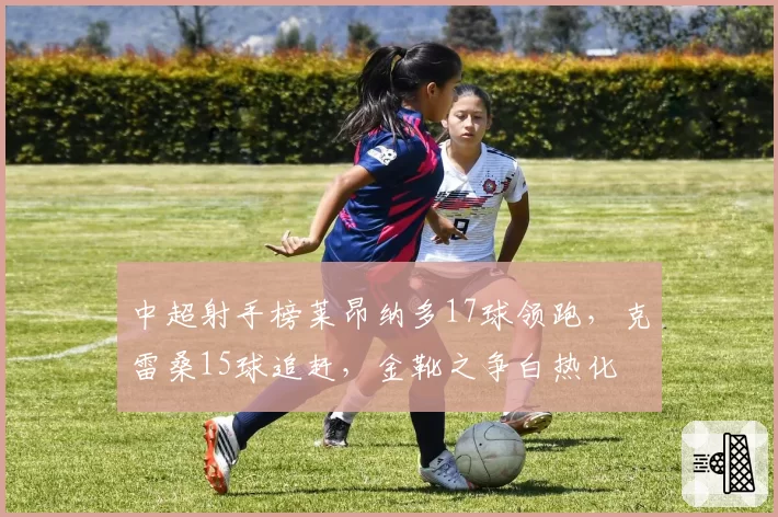 中超射手榜莱昂纳多17球领跑，克雷桑15球追赶，金靴之争白热化