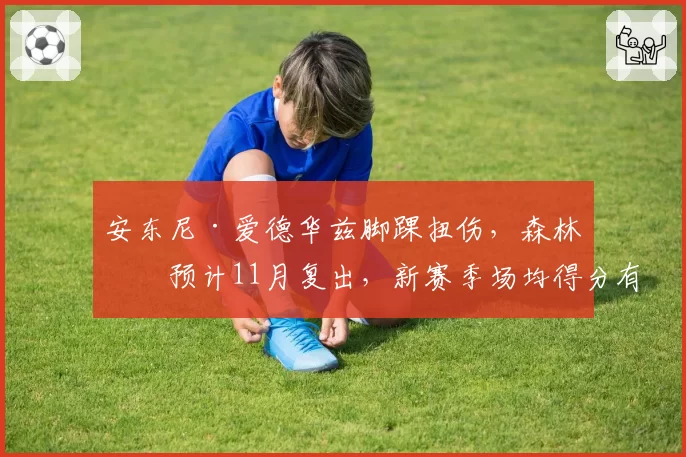 安东尼·爱德华兹脚踝扭伤，森林狼预计11月复出，新赛季场均得分有望突破28分